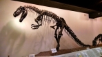 Alosaurus