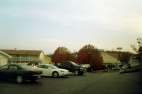 Branson motel - I was amazed that the trees had autumn leaves at Christmas